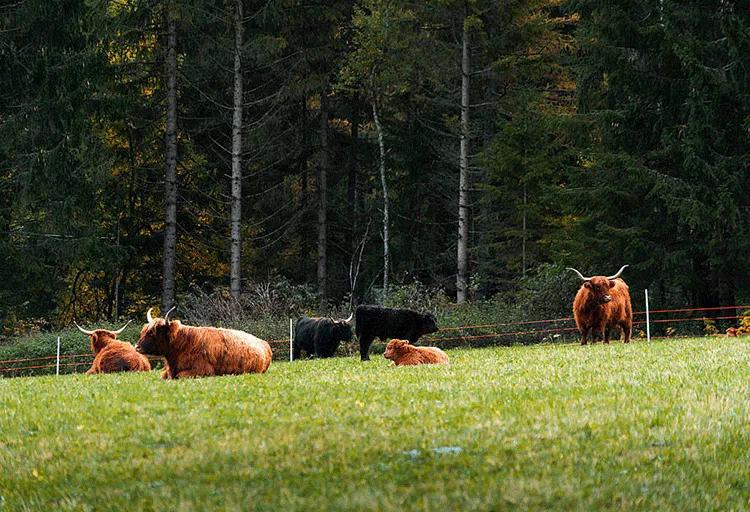 名字嘉后面配什么字起名最好,名字对一个人的人生有影响吗