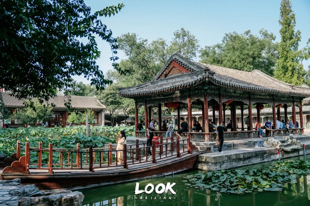 北京什刹海赏景的好地方,北京什刹海附近攻略