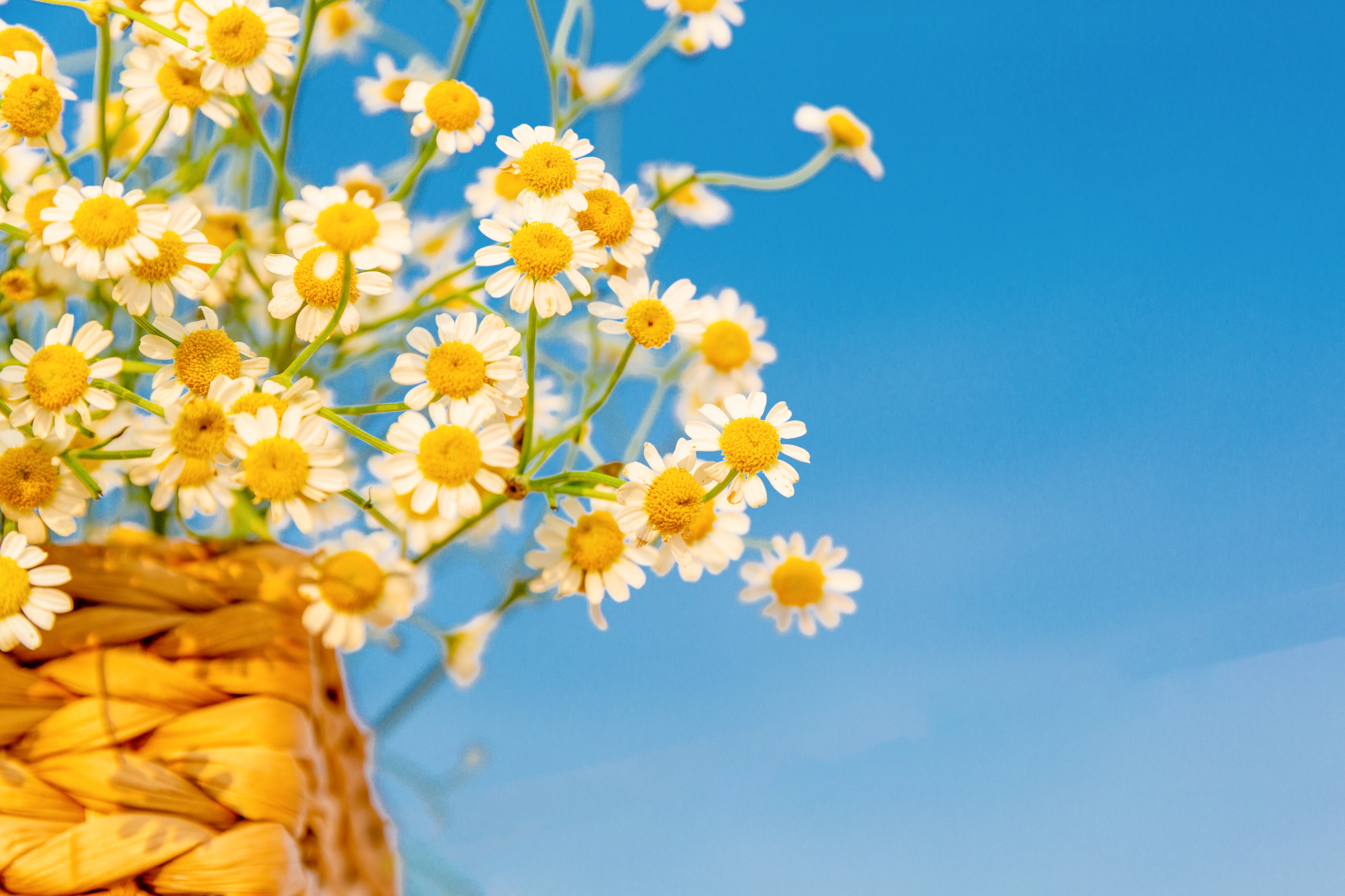 高中物理一些物理知识点归纳,高中物理知识点总结必考