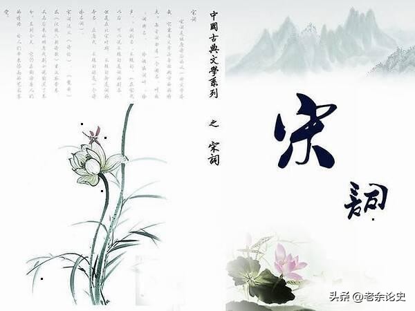 中国诗歌的语言特点凝练性,诗歌语言特色可以从什么角度分析