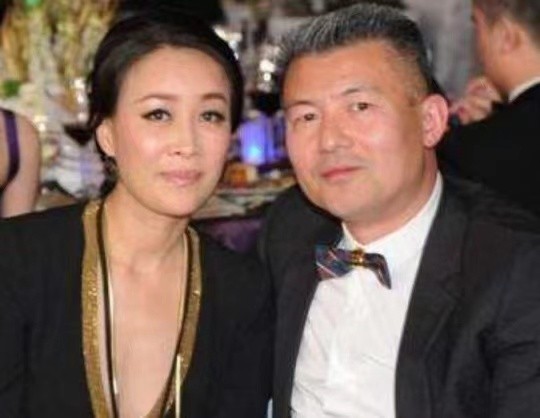 那英高峰有孩子吗,那英和高峰有孩子了吗