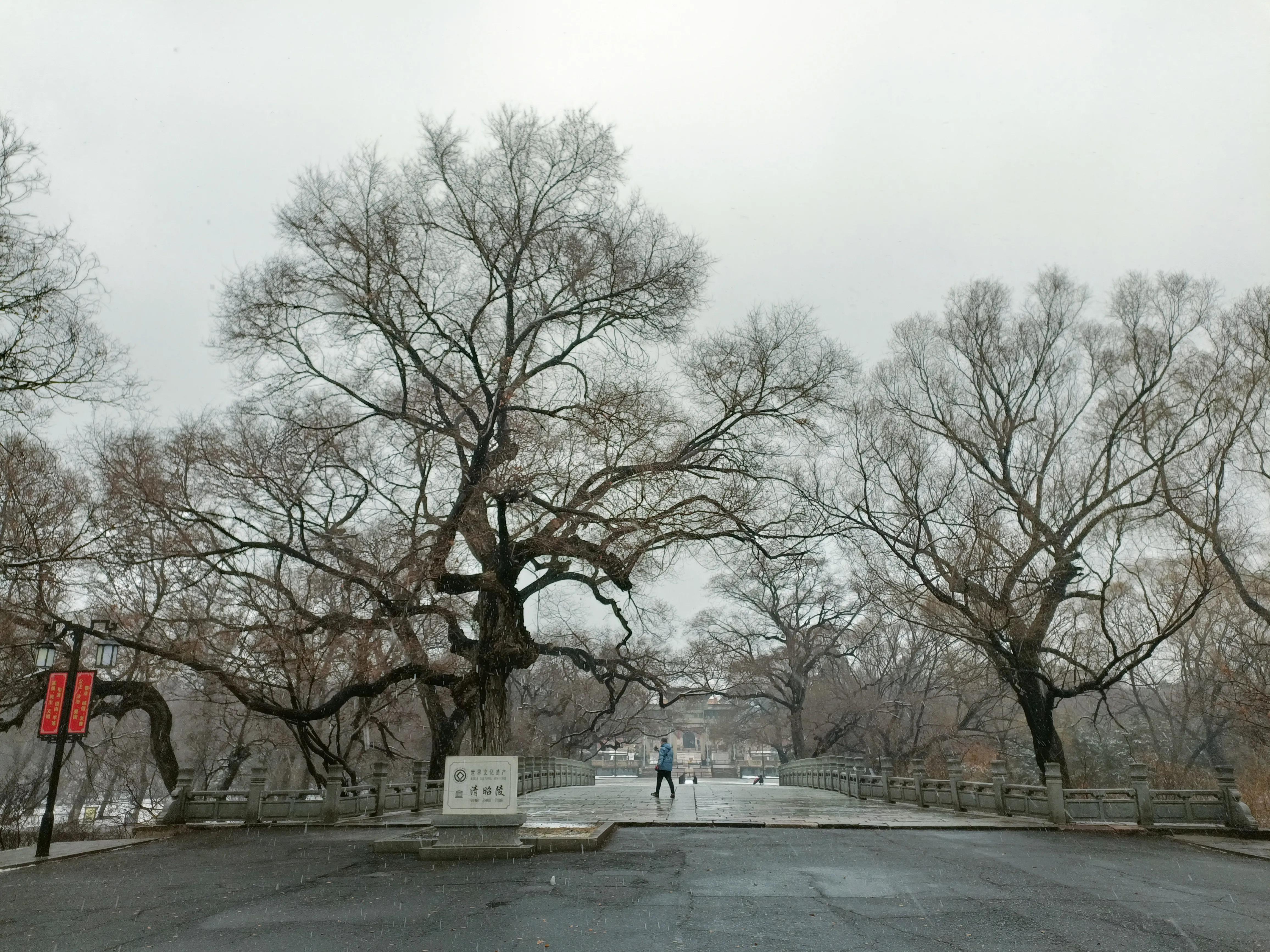 沈阳一日游攻略情侣,沈阳一日游攻略及路线