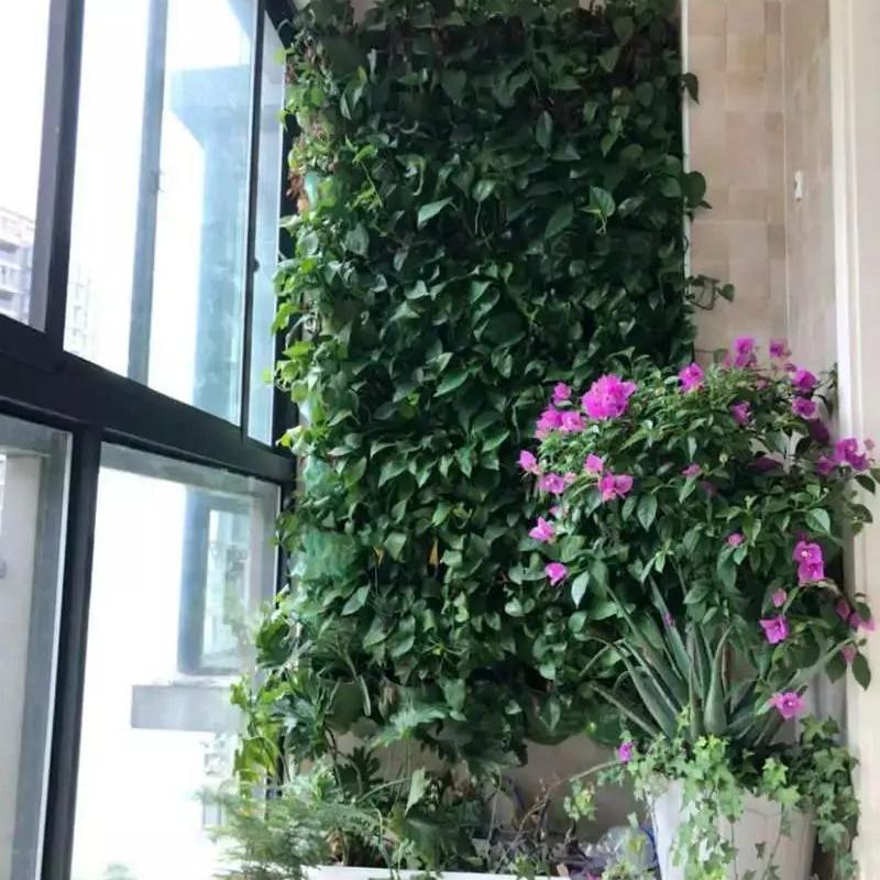 露天小阳台打造小花园效果图,卧室开放式小阳台怎么打造花园