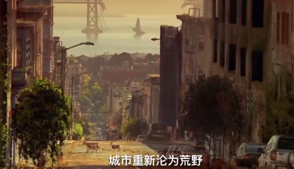 黄山景点关闭最新消息,黄山冬季关闭景区