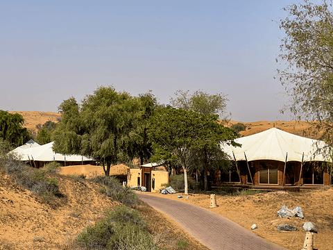 哈伊马角利兹卡尔顿,哈伊马角沙漠丽思卡尔顿酒店