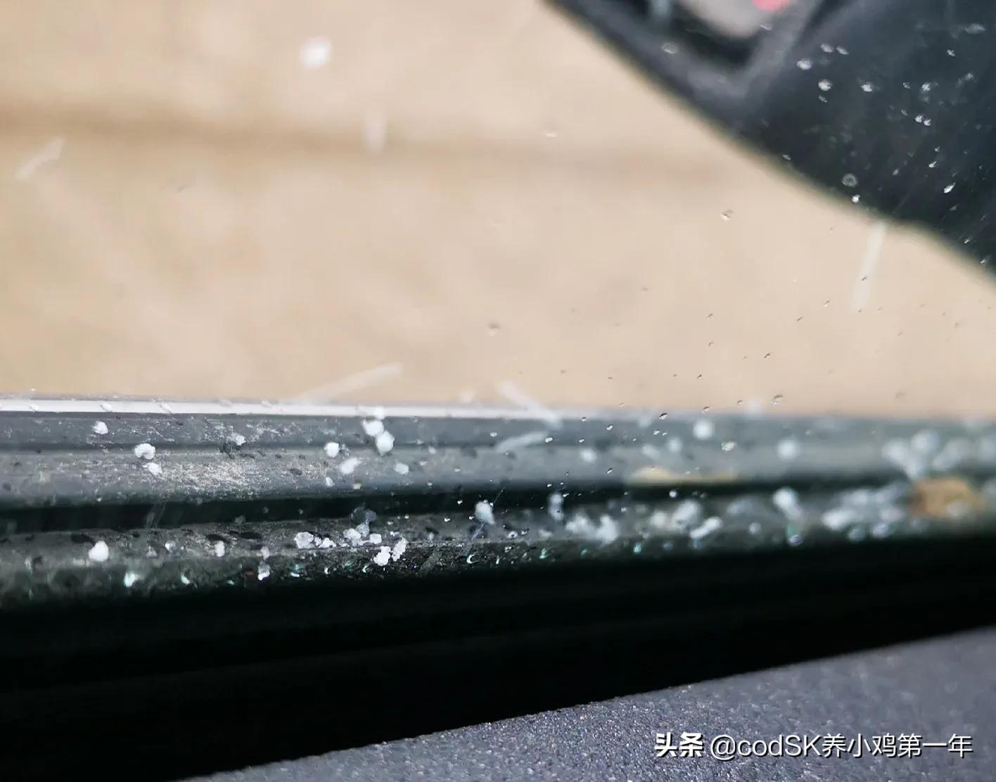 在加拿大送快餐赚钱吗,在国外送外卖真的工资那么高吗