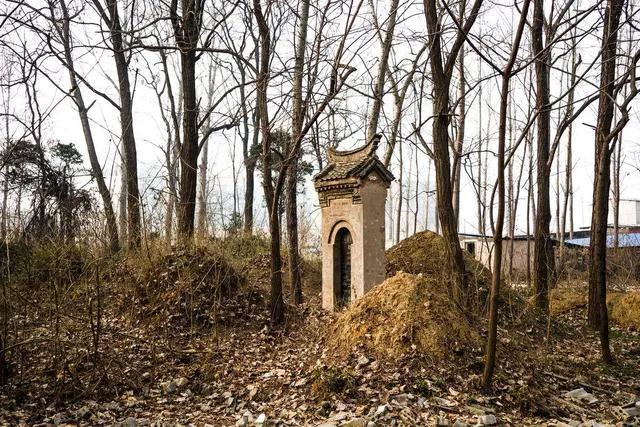 坟地被树遮阴好吗,坟头有树遮阴风水好不好