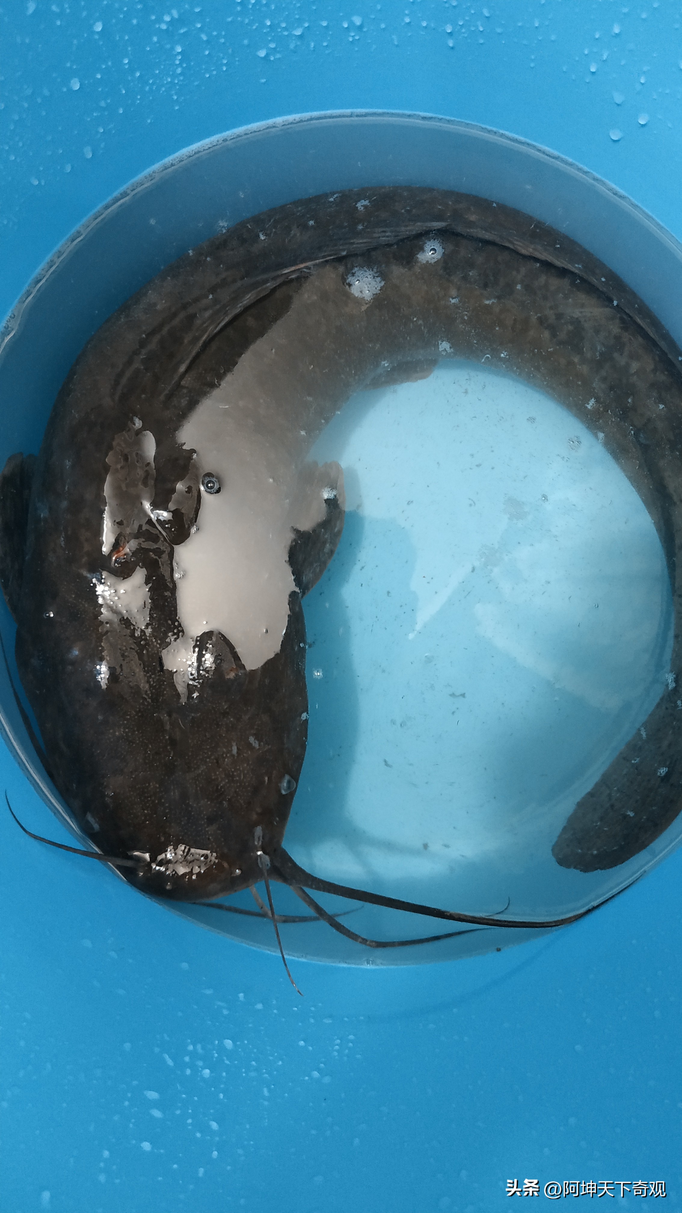 致全市垂钓爱好者,野钓小众的钓鱼地点