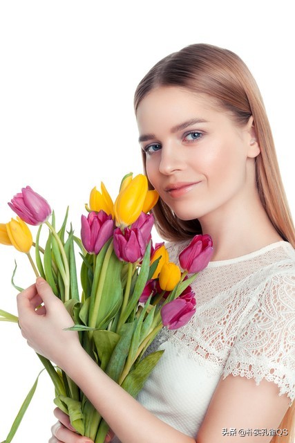 郁金香迫击炮,郁金香水培的正确方法