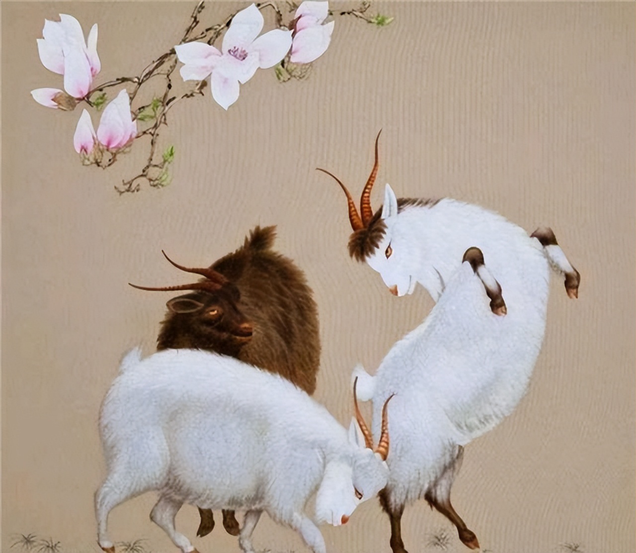 泰字取名大全集,泰字部首是什么