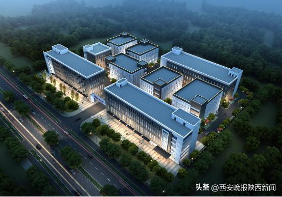 陕西三八妇乐集团公司,陕西三八妇乐科技股份有限公司