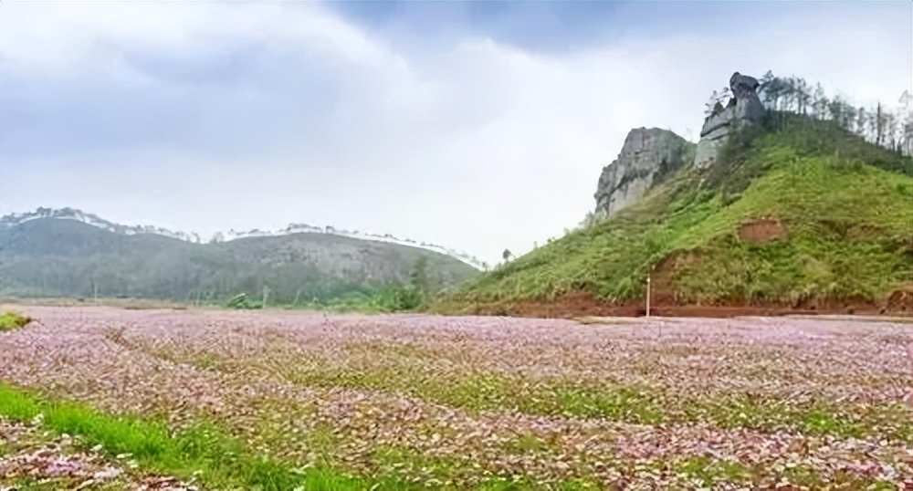 这些韶关最值得爬的山，你登过几座？