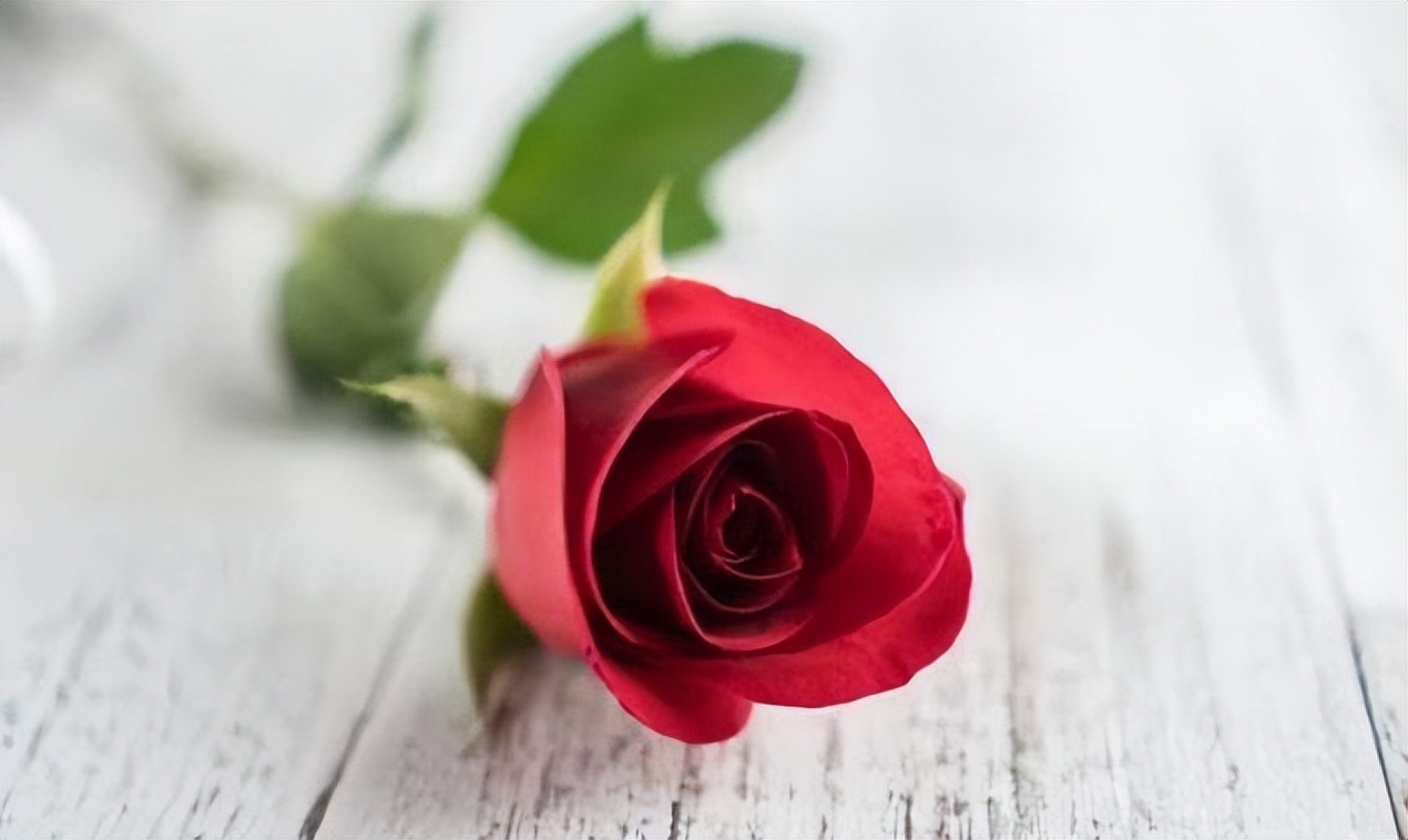 鳄鱼法则教你如何止损,聪明人的止损方式