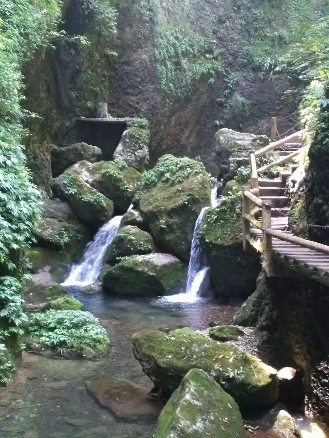 青城后山包吃住避暑农家乐,青城后山王婆岩避暑农家乐