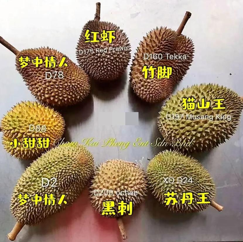 为实现“白菜价榴莲”，中国一直在努力！如今降价了值得高兴吗？