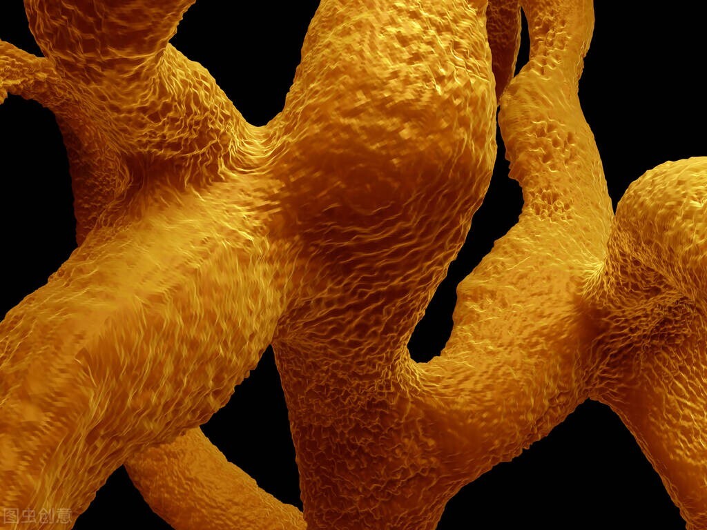 增骨密度最快的中成药,骨质增生吃什么药效果最好