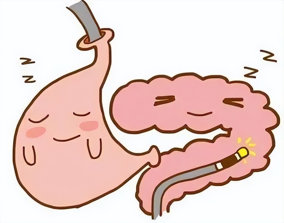 我亲身经历的胃肠镜检查及治疗,做了无痛胃肠镜应注意什么