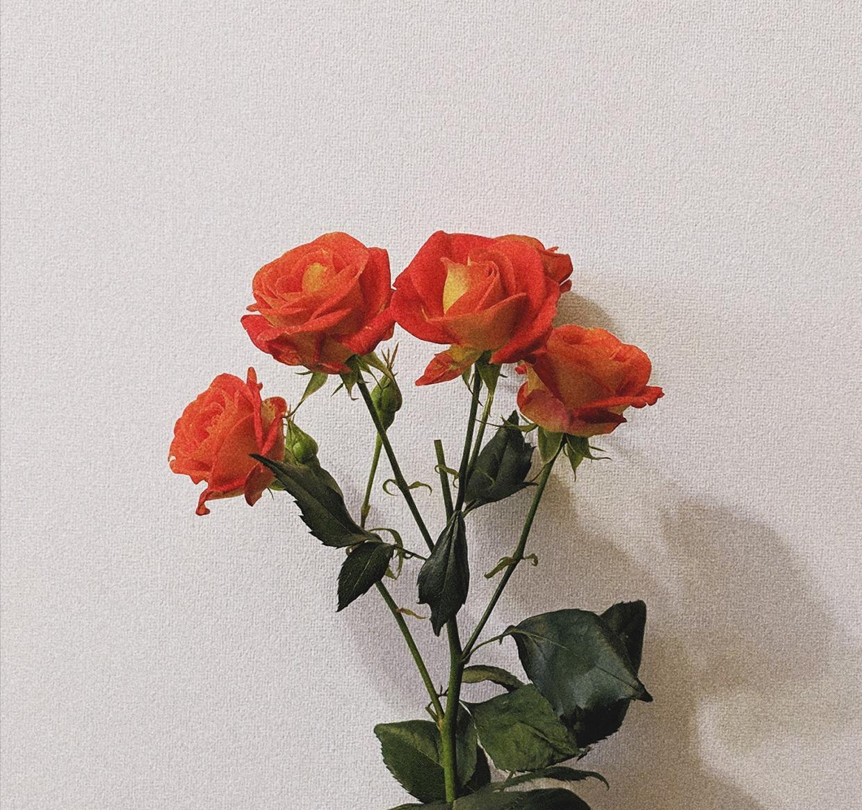 中年男人爱不爱我,中年男人爱不爱你的心理