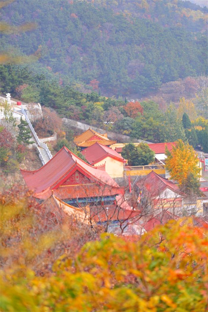 张艺谋点赞山东武校学生,被张艺谋夸的人