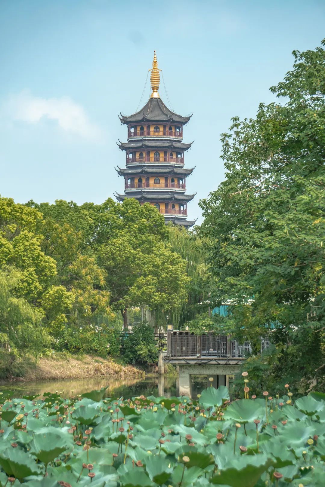 扬州值得推荐的早茶,广东早茶和扬州早茶真的没法比