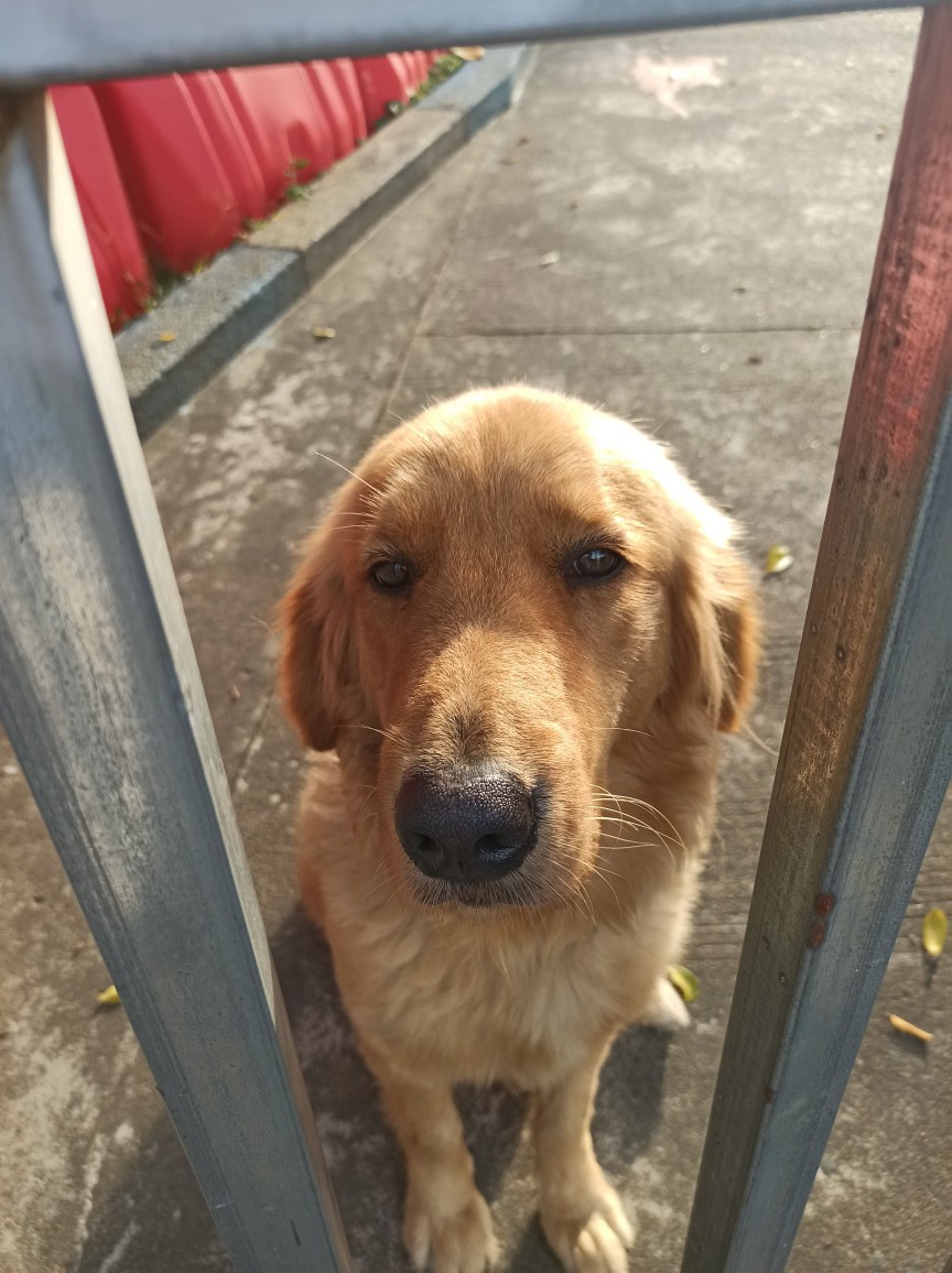 白云山适合徒步吗,一路徒步上白云山