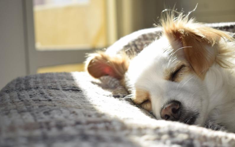 因为蜡烛引发的火灾,蜡烛引发火灾