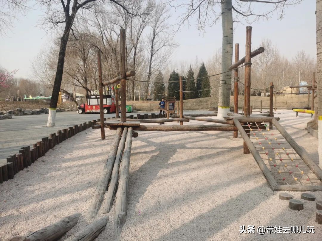 一天玩遍北京野生动物园,包场去鸟巢