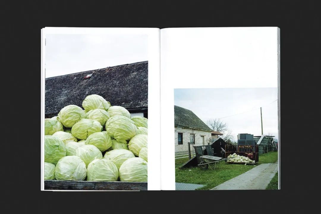 设计圈的现状,设计圈的设计风格