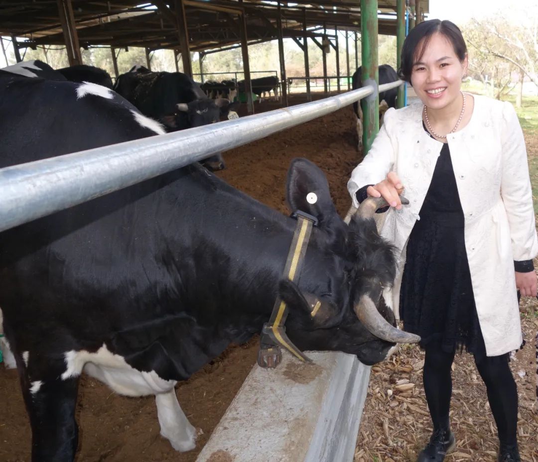 “我的奋斗建功故事”|成美玉《风雨创业路致富引路人》的故事