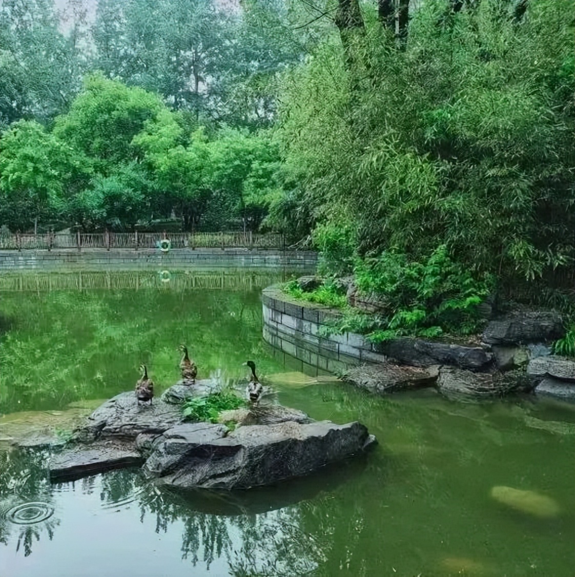 【FENG娱】王佐镇:娱乐+科普+自然,暑假解锁亲子出游新方式!