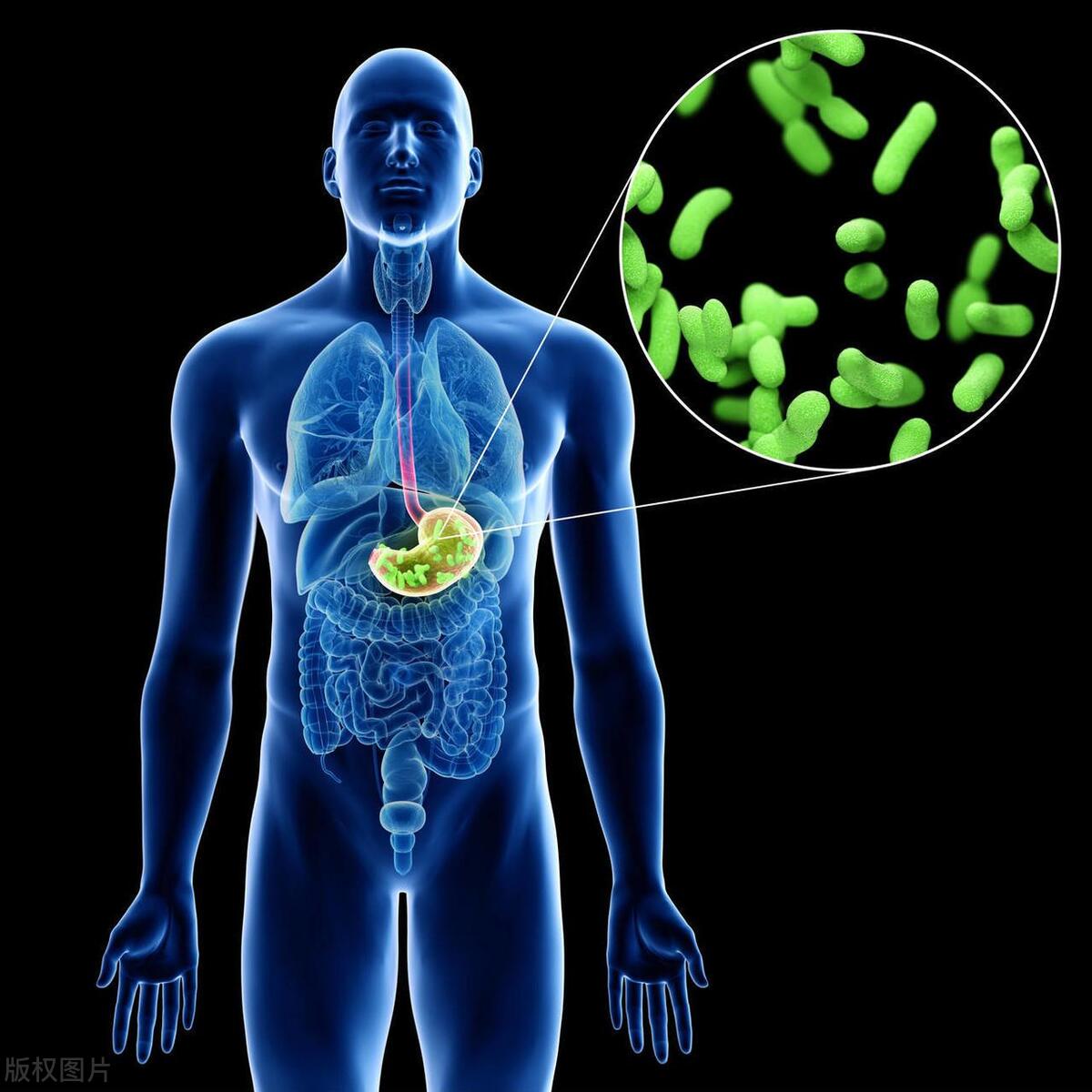 医生解答：蛋白质吃得好长寿少不了，蛋白质与中老年人长寿的联系