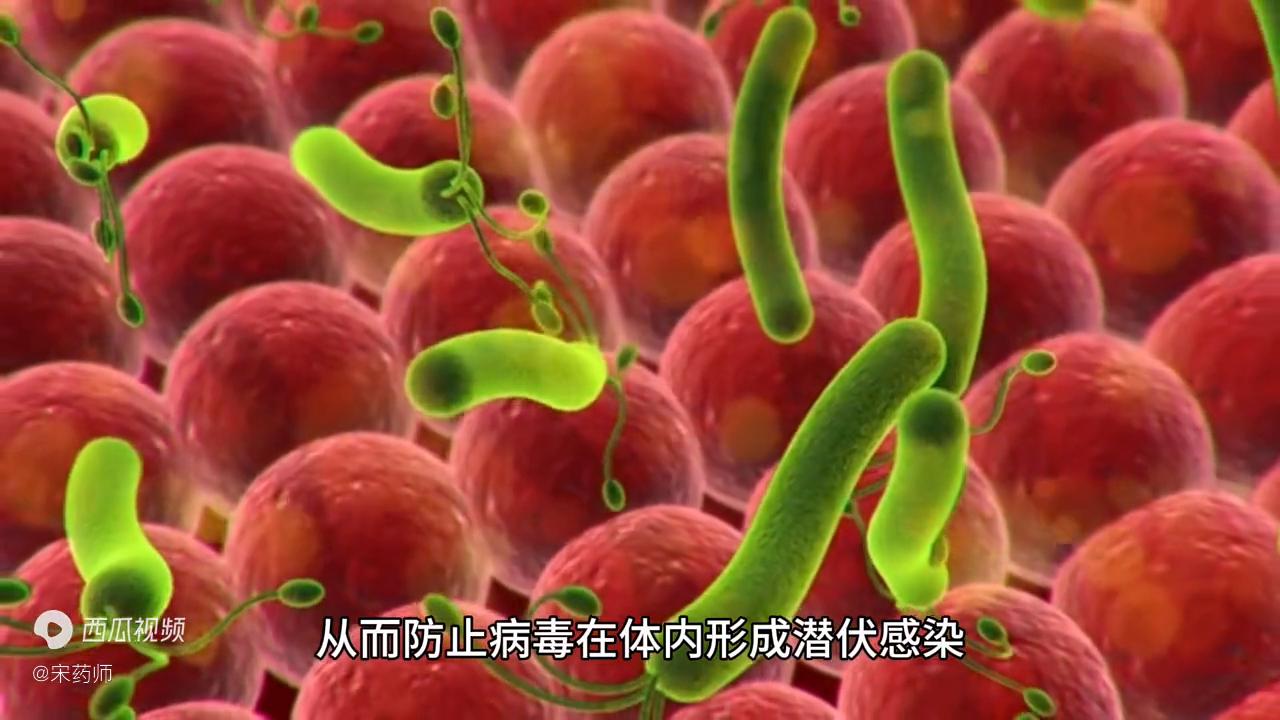 什么是艾滋病毒暴露后预防疗法,什么是艾滋病暴露后阻断