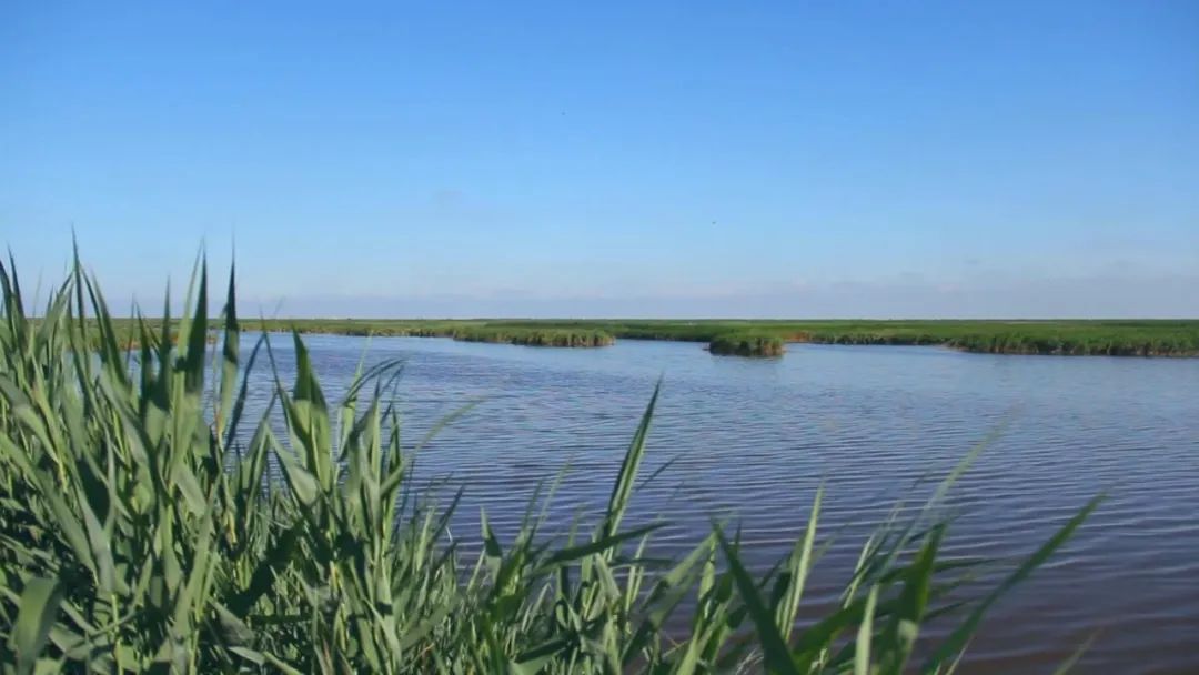 这么近那么美周末游河北倒计时,这么近那么美周末到河北去哪玩