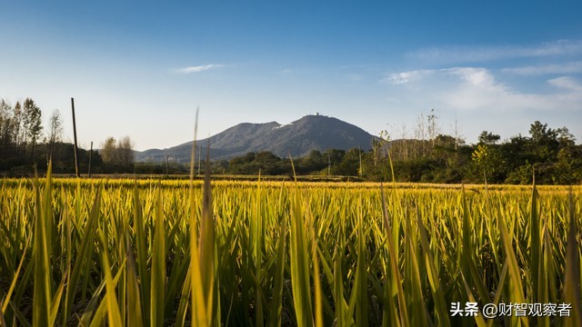 比尔盖茨和马斯克谁更聪明,马斯克和比尔盖茨谁更伟大