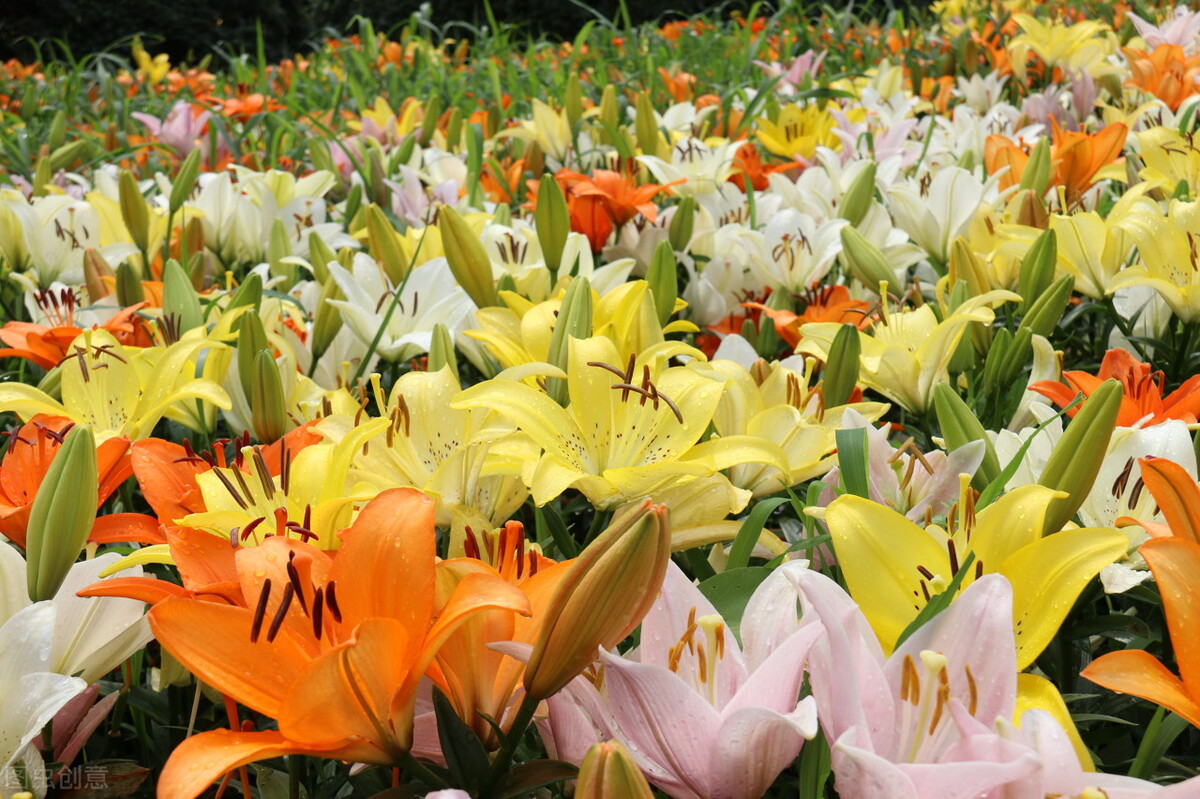 值得摘抄的经典句子,盗墓笔记句子经典摘抄