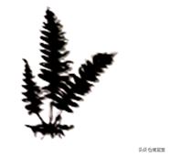 2021年山东省聊城市中考生物真题