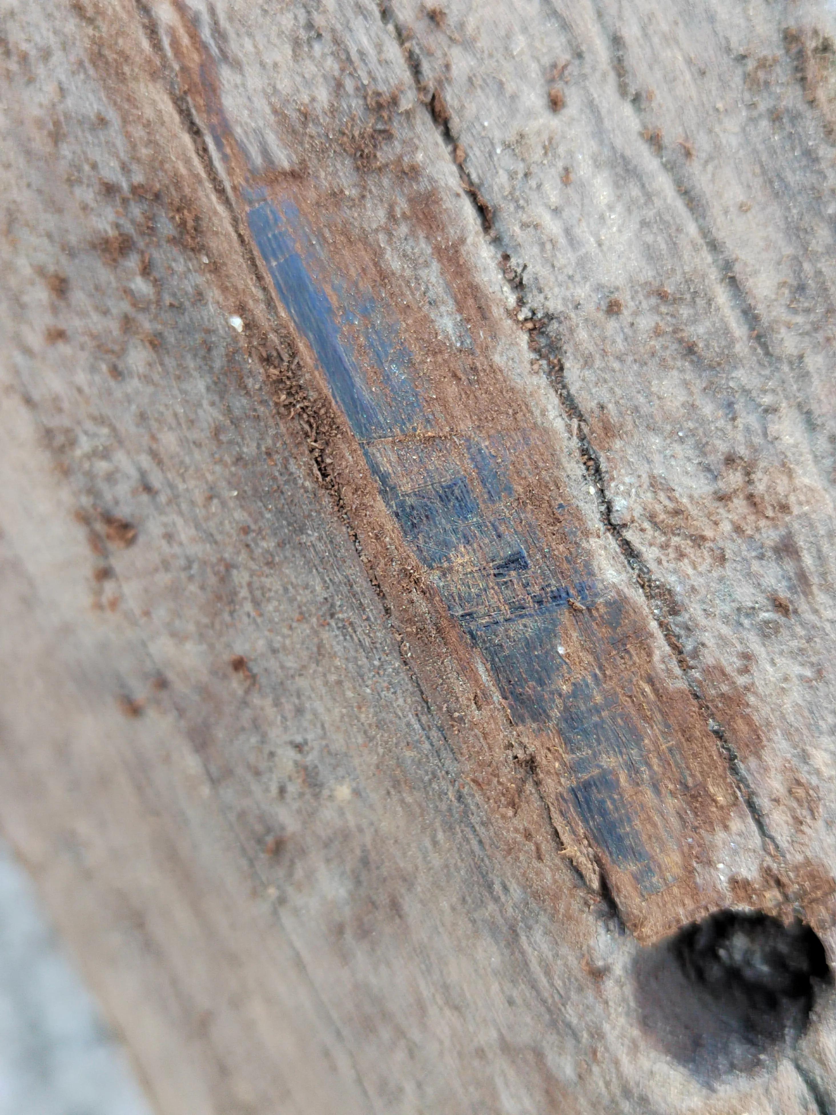 白奇楠莺歌绿奇楠黑奇楠哪个好,黑奇楠和白奇楠沉香哪个好