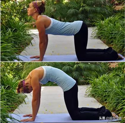 可以在家掌握的3个基本瑜伽姿势,躺着可以练的瑜伽动作