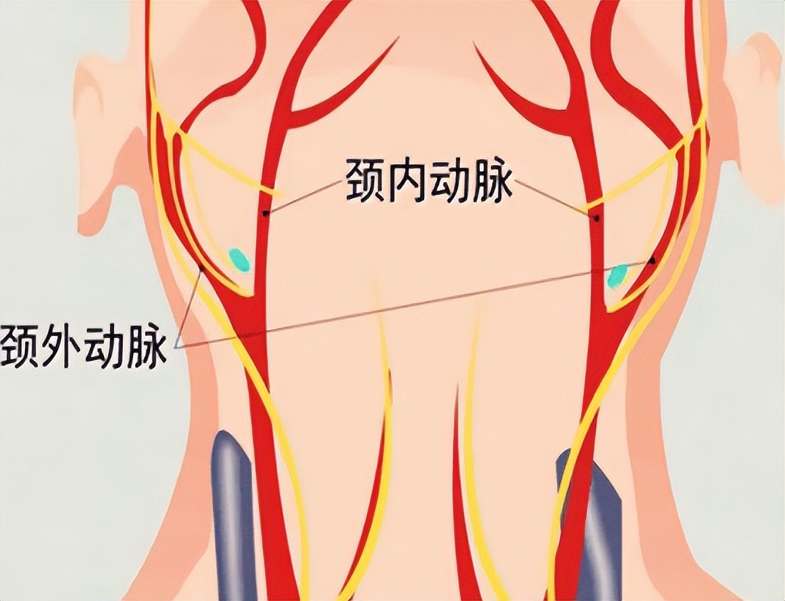 冠心病诊断预测模型,建模预测冠心病