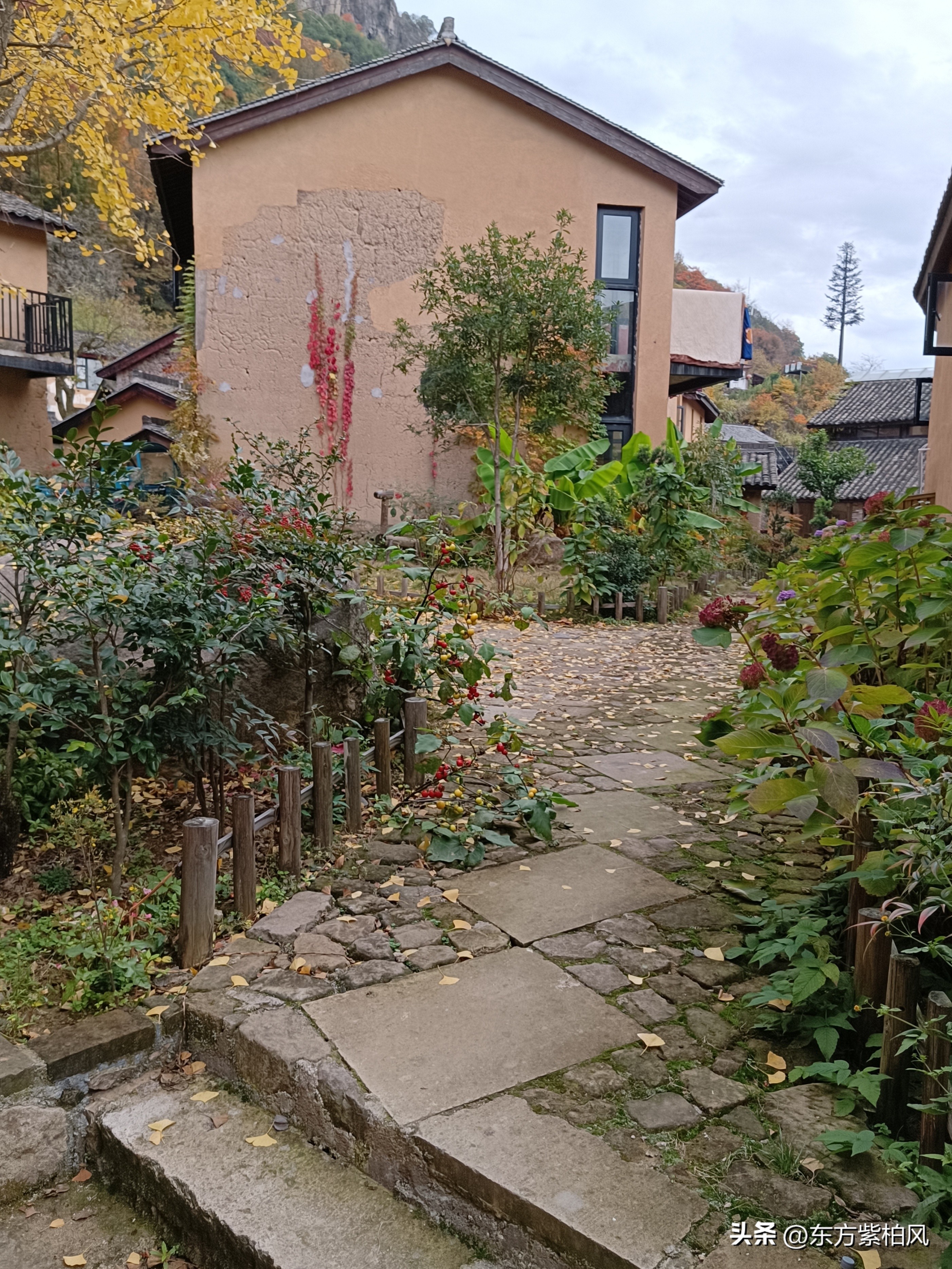 义乌大寒尖春季旅游,义乌大寒尖旅游饮食