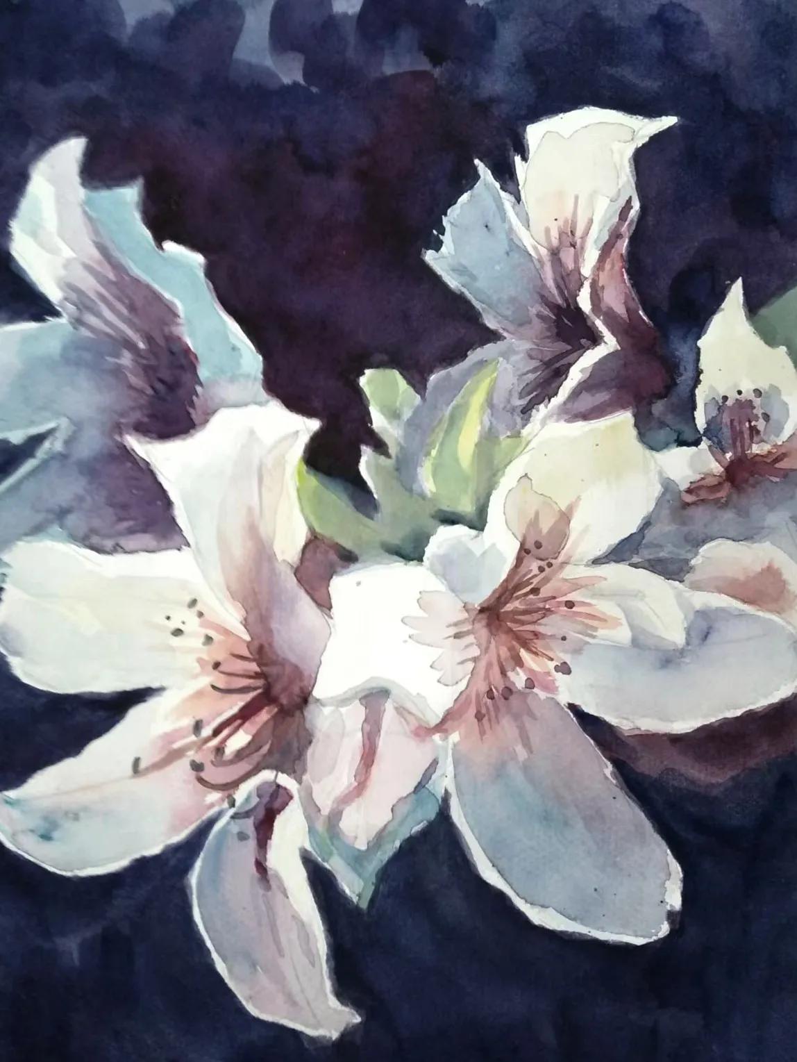 丹青不老啥意思,丹青不老