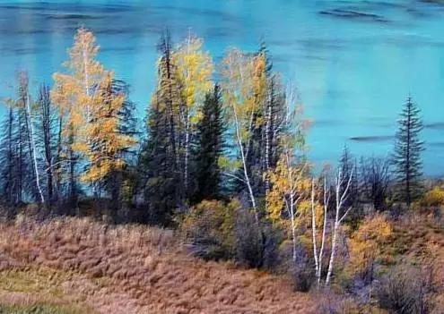 原来*疆新**这么大？终于知道为啥不包邮了...