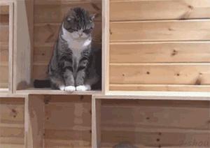 “我再也不想跟老公一块睡了”网友:我出50块,把床铺大点哈哈哈