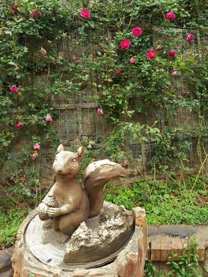 昆明青龙谷生态旅游,昆明市青龙峡风景区