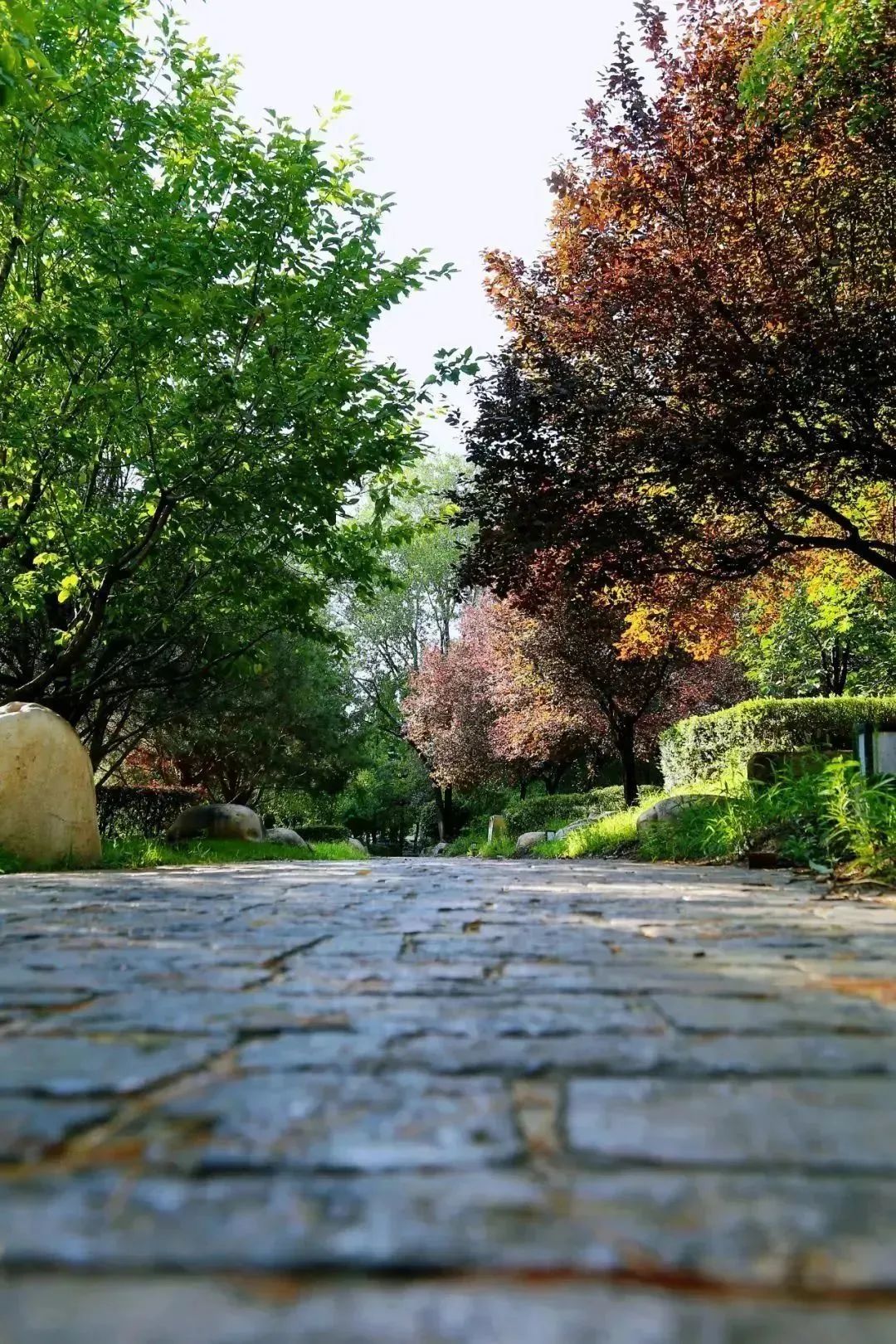 微度假美学生活,微度假慢生活轻养老