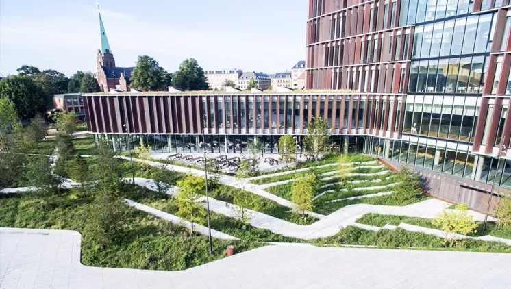 屋顶适合建设哪种绿色屋顶,绿色屋顶建筑