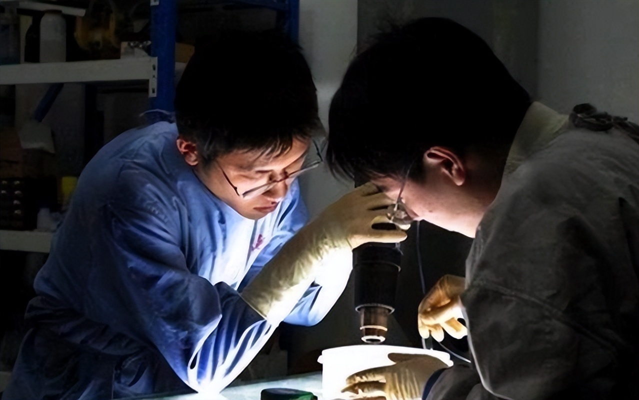 煮人骨，剔腐肉，一年处理50具遗体，直面死亡的人体标本制作师