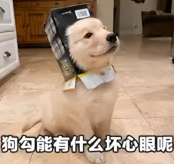 自从买了这个手机壳，我就经常找不到手机了