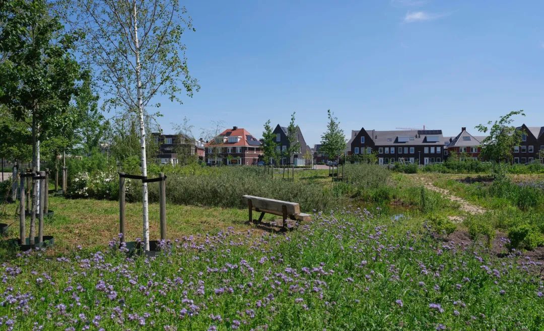 一个可以食用的绿色社区|RijnvlietEdibleNeighborhood