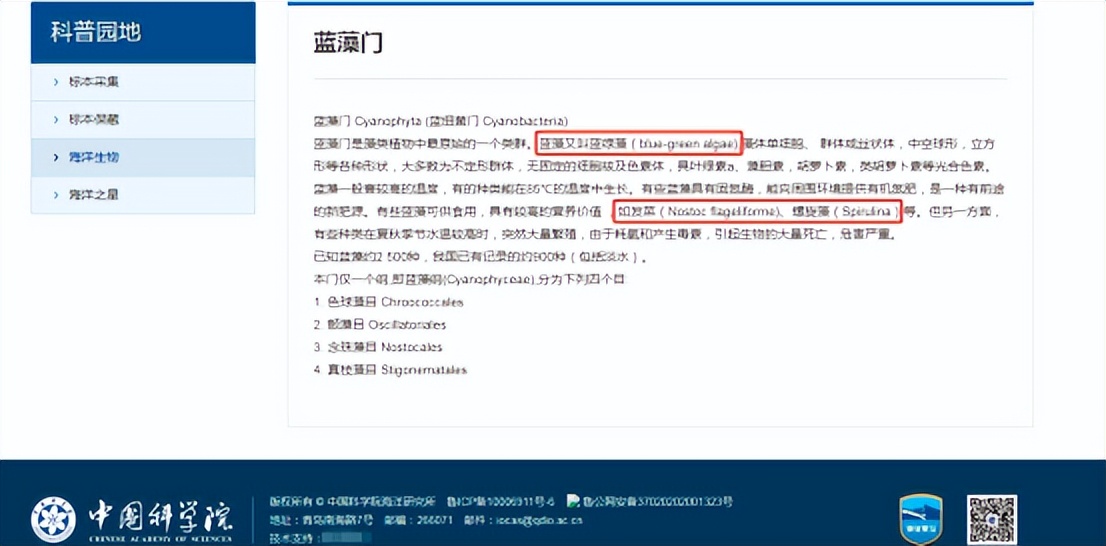 螺旋藻能降肝毒么,螺旋藻真的能提高人体免疫力吗